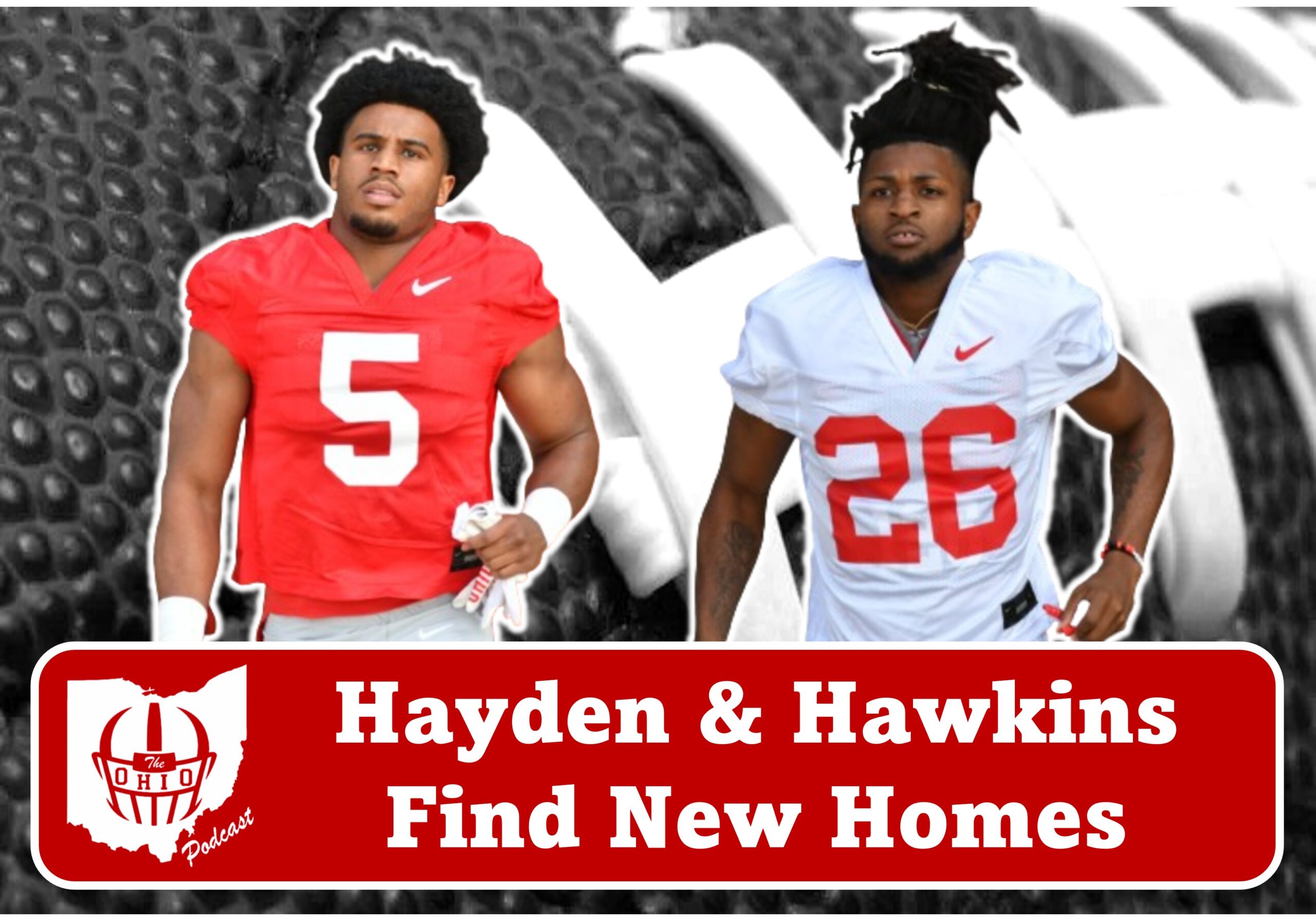 Former Buckeyes Dallan Hayden and Cedrick Hawkins Have New Homes