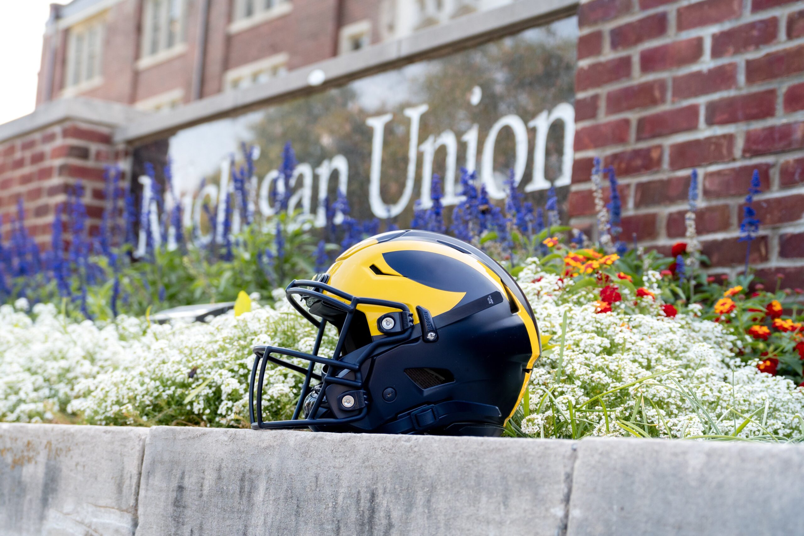 Michigan Helmet