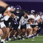 Northwestern Wildcats