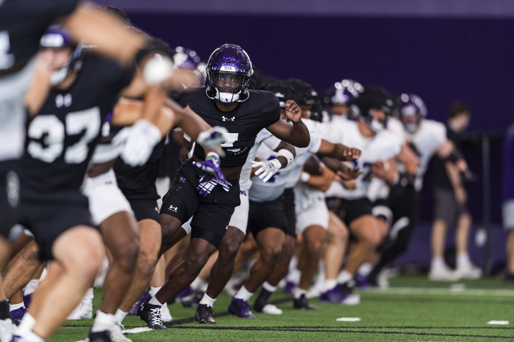 Northwestern Wildcats