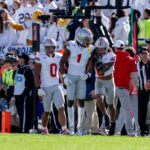 Buckeye defense