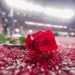 Rose Bowl