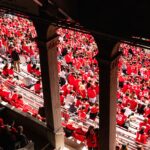 Fans In The Shoe